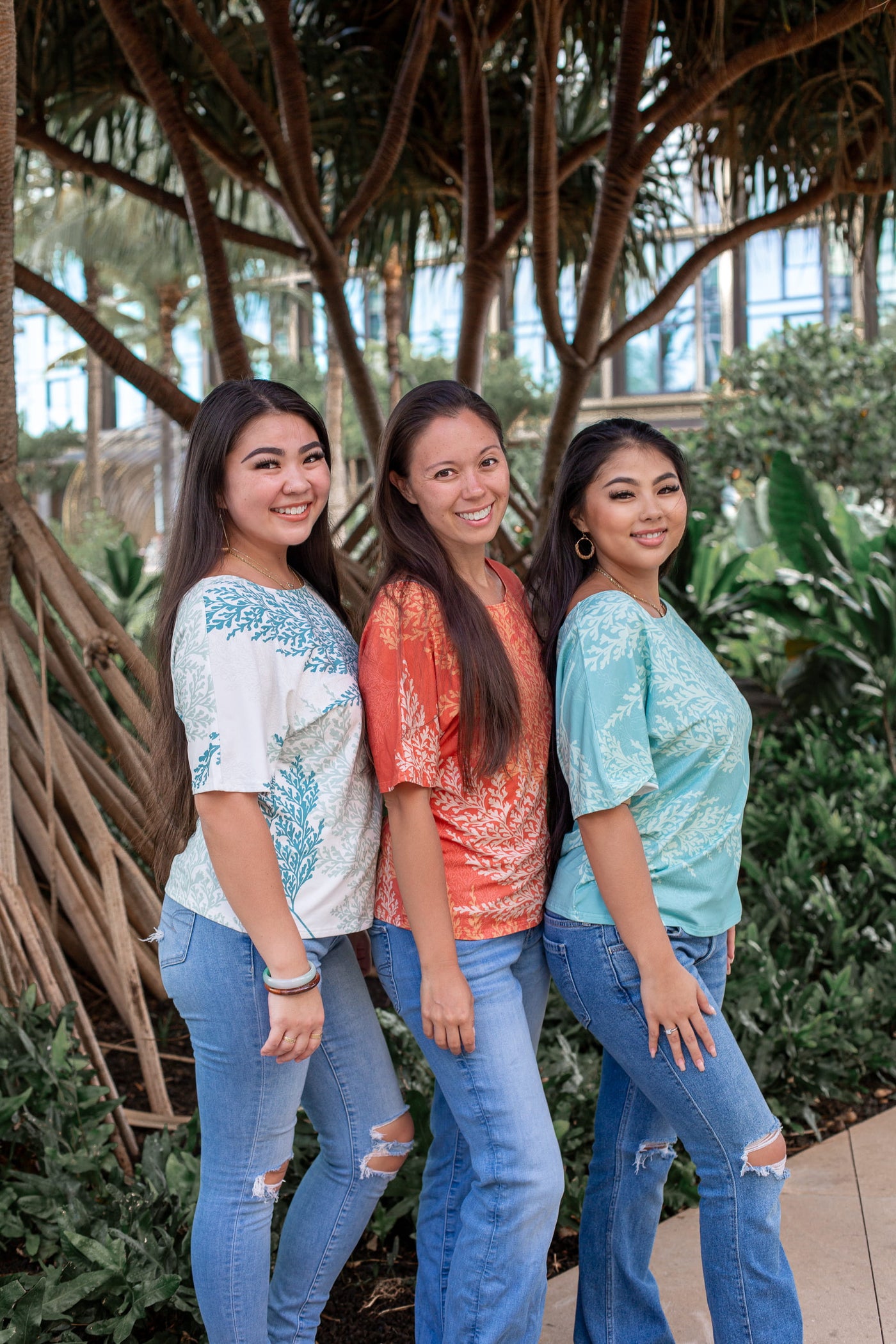 Palaʻā Collections