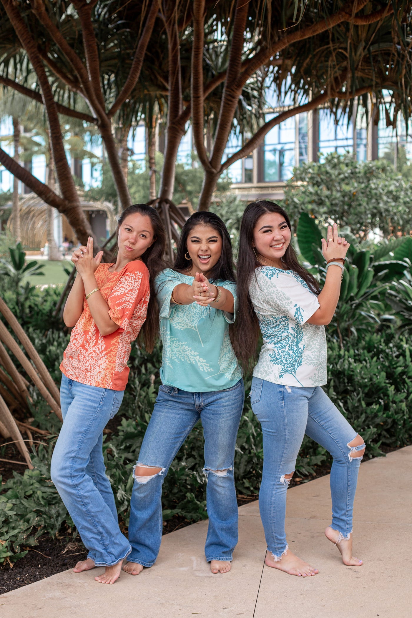 Dolman Collection