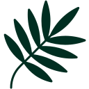 Translation missing: en.Leaf icon — built for everyday wear